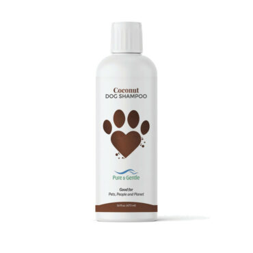 Dog Shampoo - Coconut