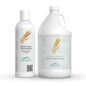 Econcentrate Hair Shampoo With Wheat Protein & Honey Dispenser and Gallon Size