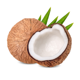 Coconut <br/>Palm