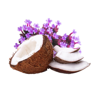Coconut Verbena