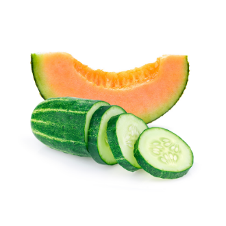 Cucumber <br/>Melon