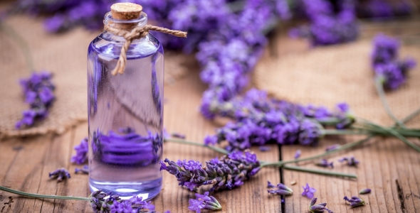 EVERYTHING YOU SHOULD KNOW ABOUT ESSENTIAL OILS – All Natural, Eco-Friendly  Personal Care & Home Products